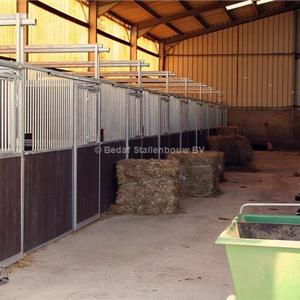 System for mechanical manure removal